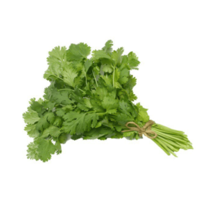 Fresh Cilantro 100 gm